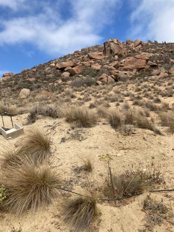 Terreno en venta en Coquimbo — foto 5