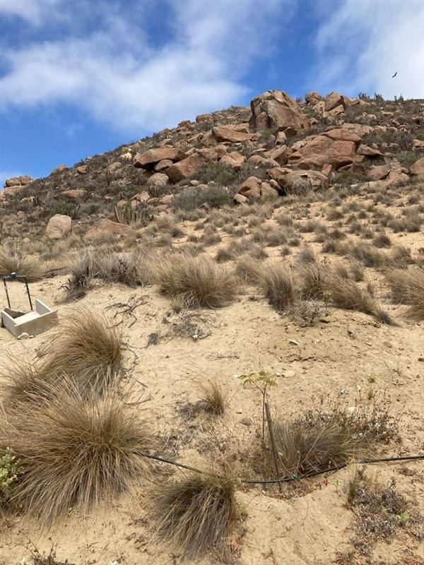 Terreno en venta en Coquimbo — foto 7