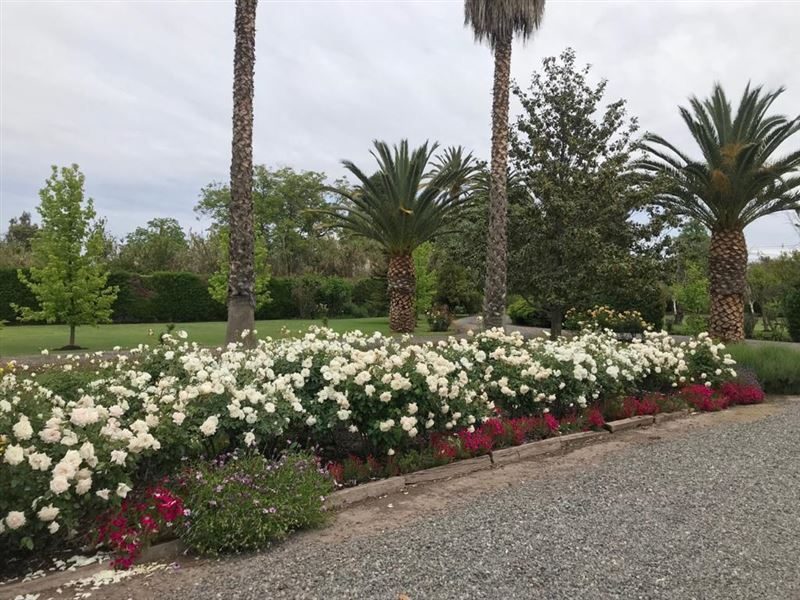 Casa en venta en San Bernardo — foto 7