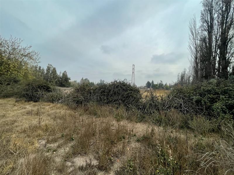 Terreno en venta en San Bernardo — foto 4