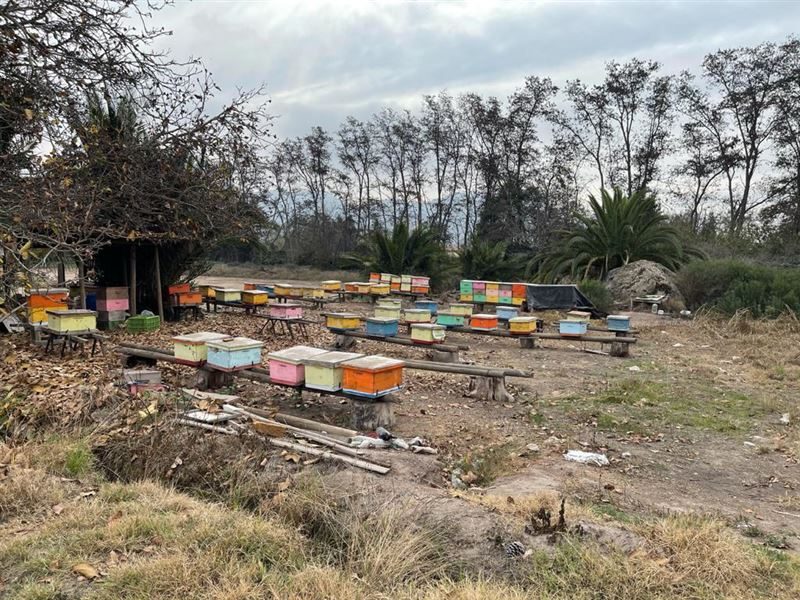 Terreno en venta en San Bernardo — foto 6