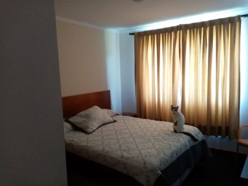 Casa en venta en Las Cabras — foto 5