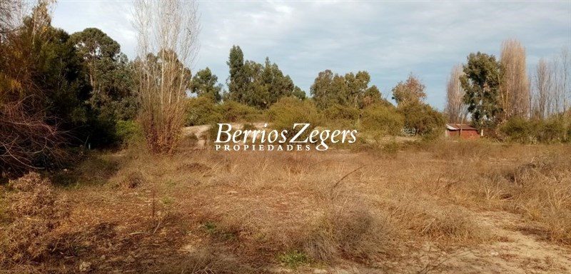Terreno en venta en Las Cabras — foto 7