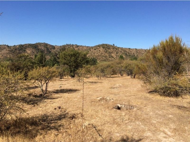 Parcela en venta en Las Cabras — foto 4