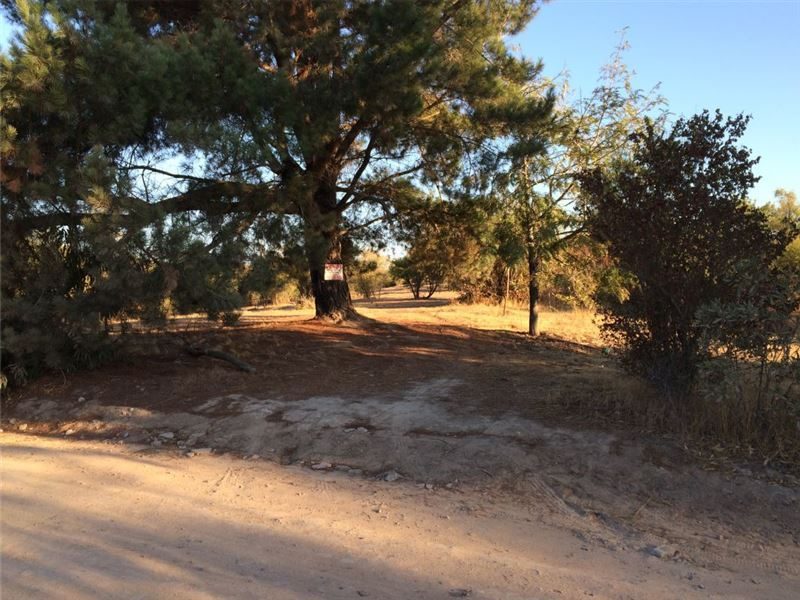 Parcela en venta en Las Cabras — foto 8