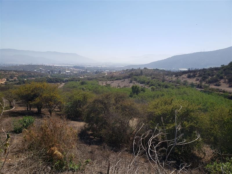 Parcela en venta en Quillota — foto 5