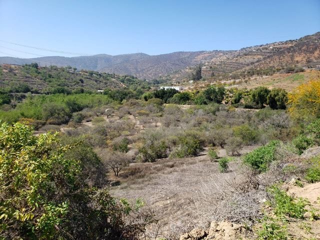 Parcela en venta en Quillota — foto 7