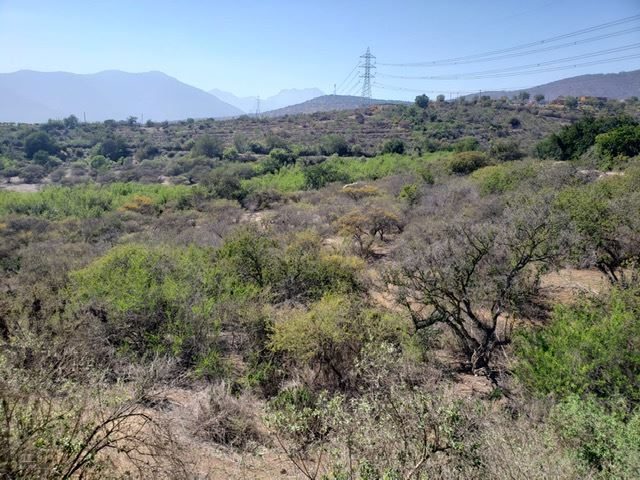 Parcela en venta en Quillota — foto 8