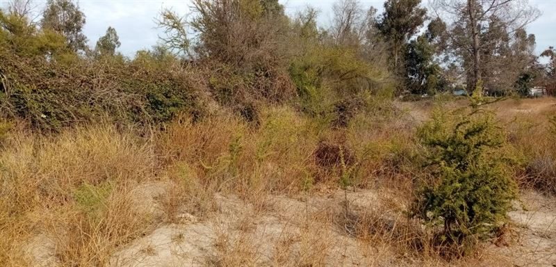 Parcela en venta en Las Cabras — foto 7
