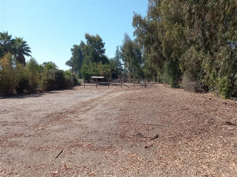 Terreno en venta en Las Cabras — foto 3