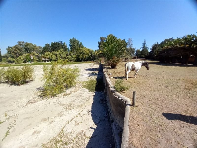 Terreno en venta en Las Cabras — foto 4