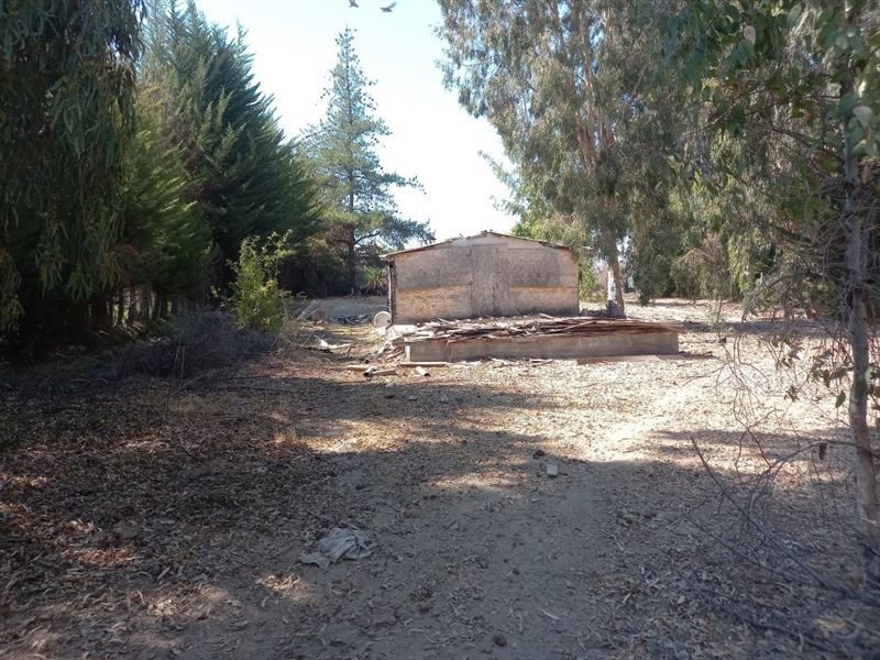 Terreno en venta en Las Cabras — foto 5