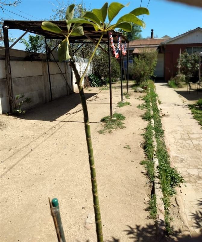 Casa en venta en Villa Alemana — foto 2