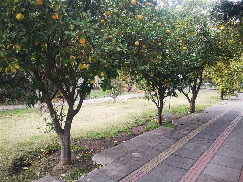 Terreno en venta en La Reina — foto 10
