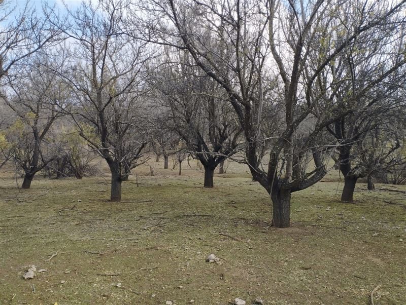 Terreno en venta en Tiltil — foto 1