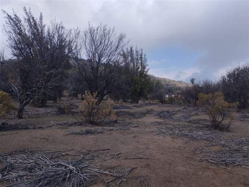 Terreno en venta en Tiltil — foto 8