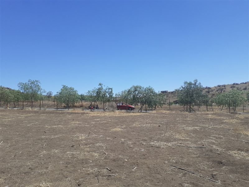 Terreno en venta en Colina — foto 6