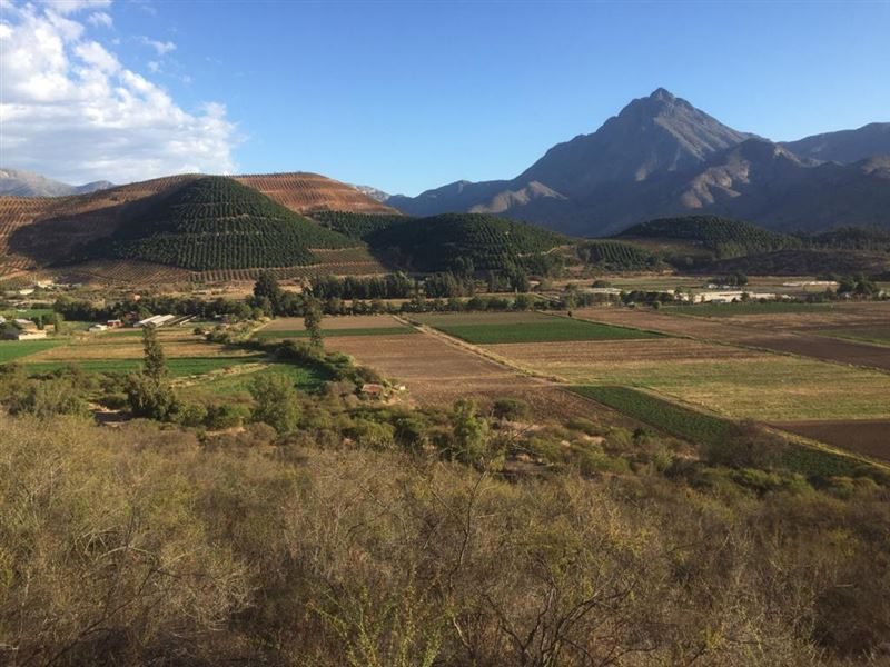 Parcela en venta en Hijuelas — foto 1