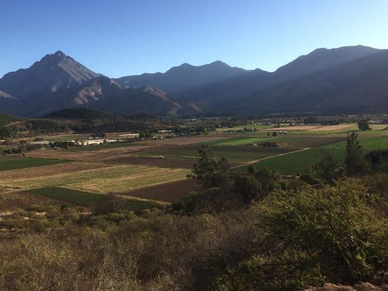 Parcela en venta en Hijuelas — foto 5