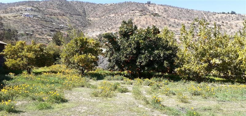 Terreno en venta en Curacaví — foto 9