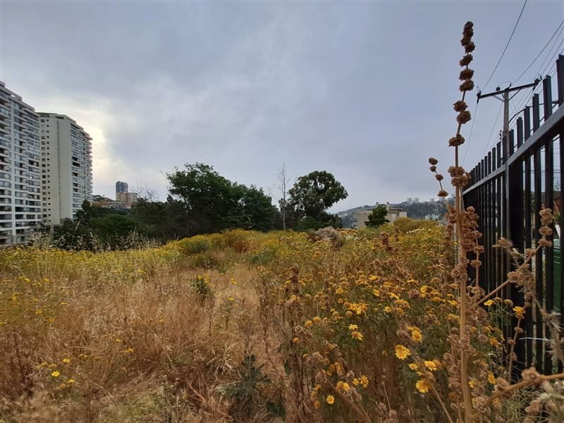 Terreno en venta en Viña del Mar — foto 1