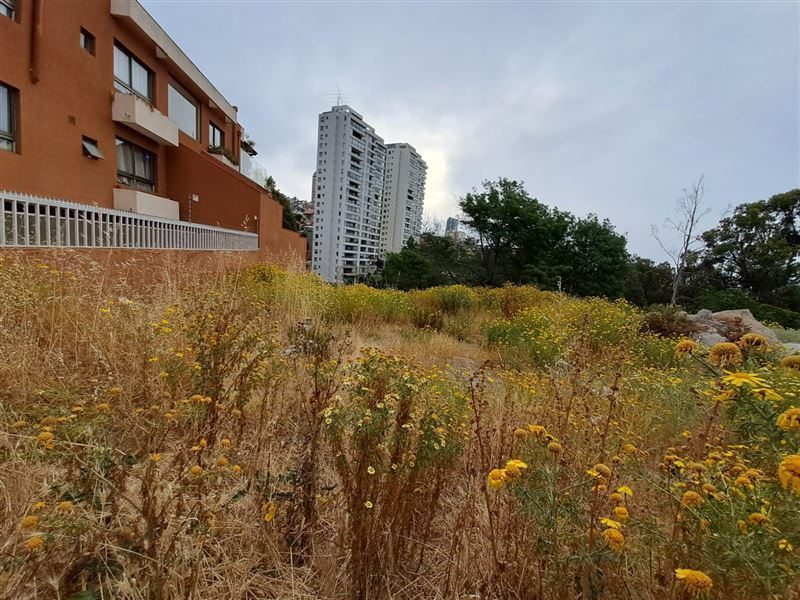 Terreno en venta en Viña del Mar — foto 3