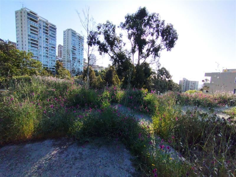 Terreno en venta en Viña del Mar — foto 6