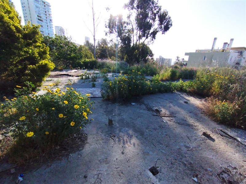 Terreno en venta en Viña del Mar — foto 7