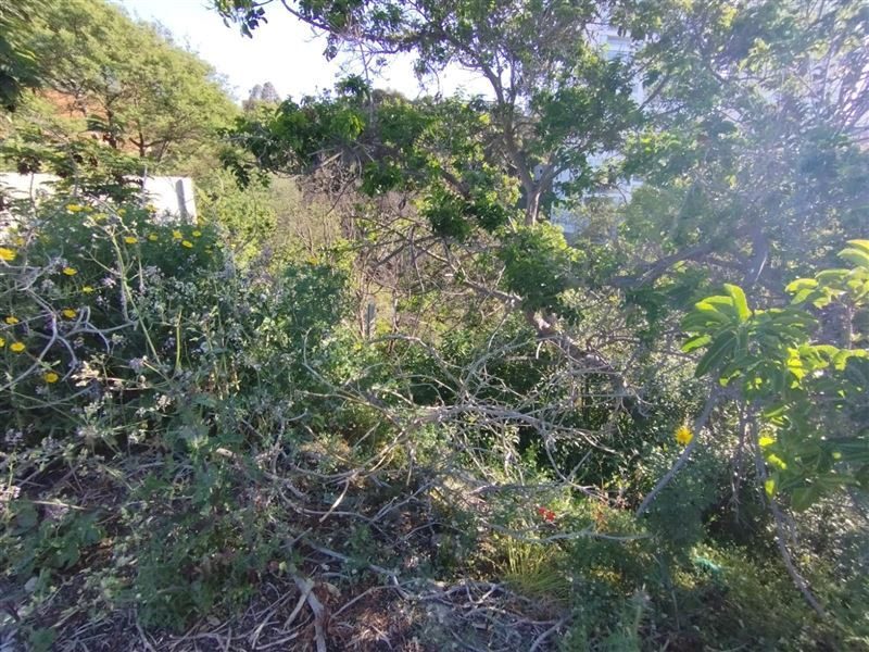 Terreno en venta en Viña del Mar — foto 8