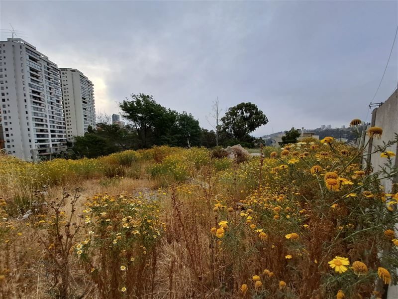 Terreno en venta en Viña del Mar — foto 10