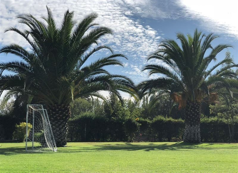 Casa en venta en Peñaflor — foto 1