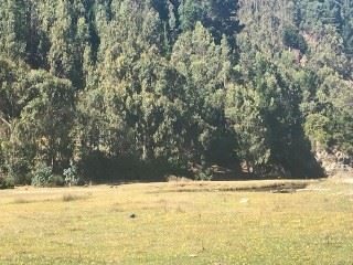 Terreno en venta en Tomé — foto 6