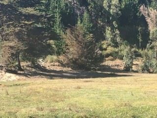 Terreno en venta en Tomé — foto 7