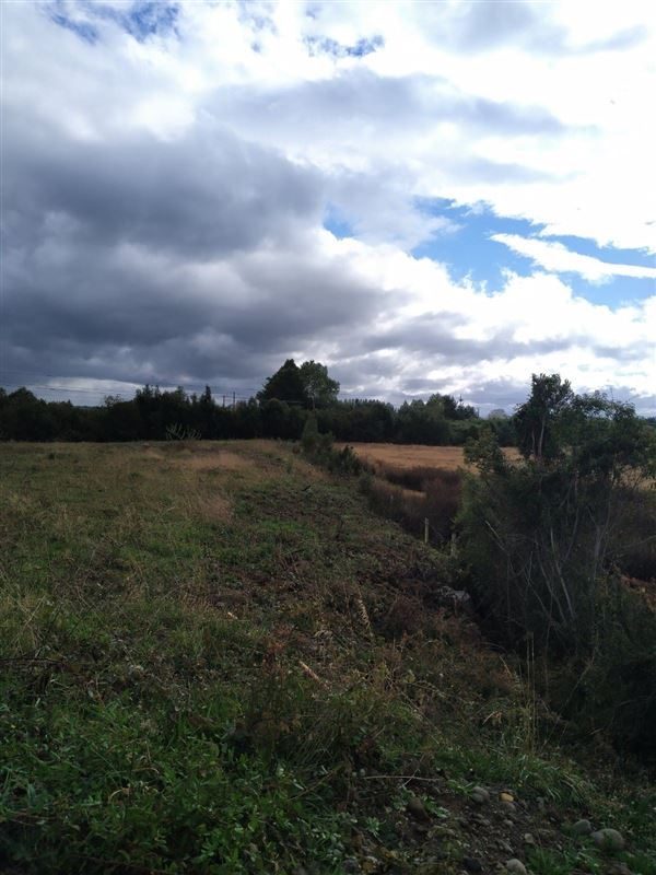 Terreno en venta en Puerto Varas — foto 8