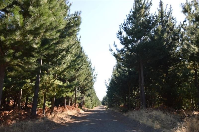 Terreno en venta en Laja — foto 1