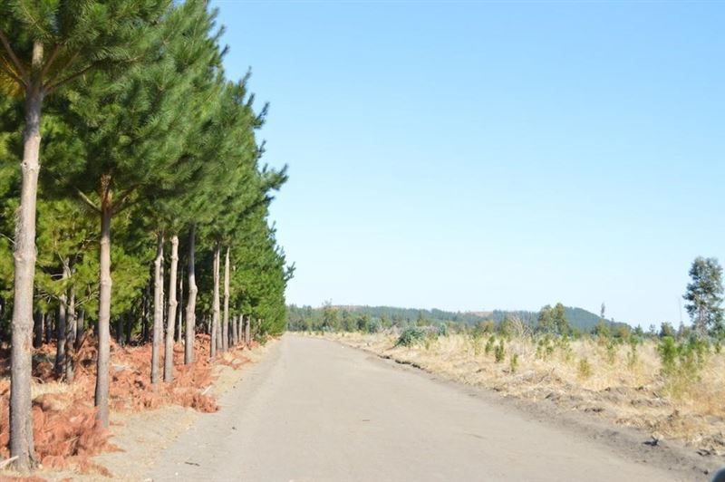 Terreno en venta en Laja — foto 2