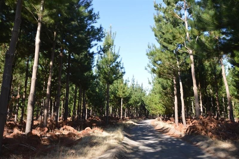 Terreno en venta en Laja — foto 3