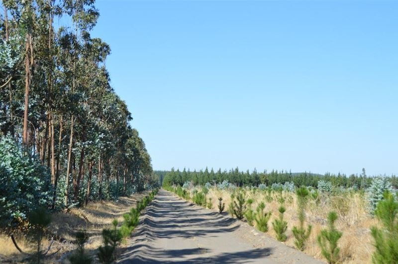 Terreno en venta en Laja — foto 4