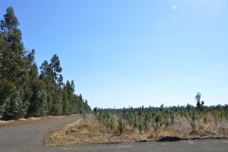 Terreno en venta en Laja — foto 7