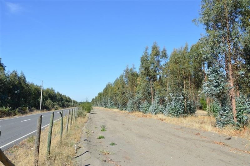 Terreno en venta en Laja — foto 8