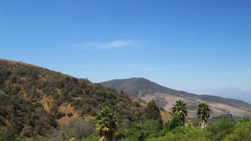 Terreno en venta en Olmué — foto 3