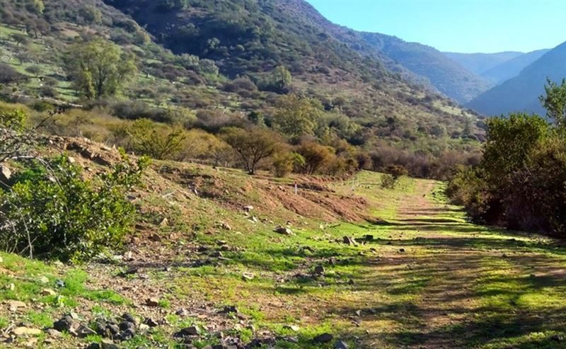 Terreno en venta en Olmué — foto 5