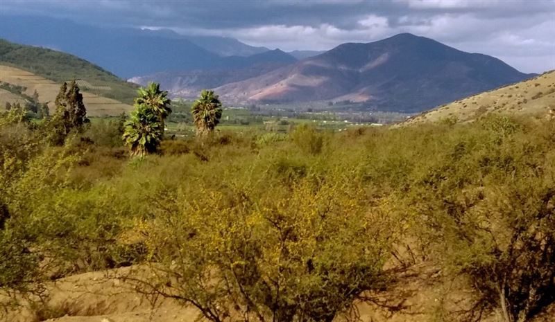 Terreno en venta en Olmué — foto 6