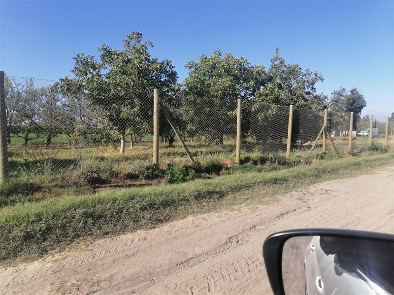 Parcela en venta en San Bernardo — foto 2