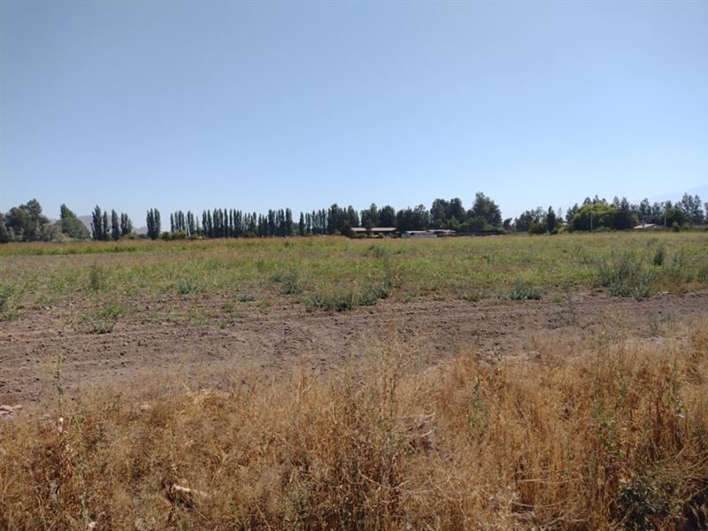Terreno en venta en San Bernardo — foto 1