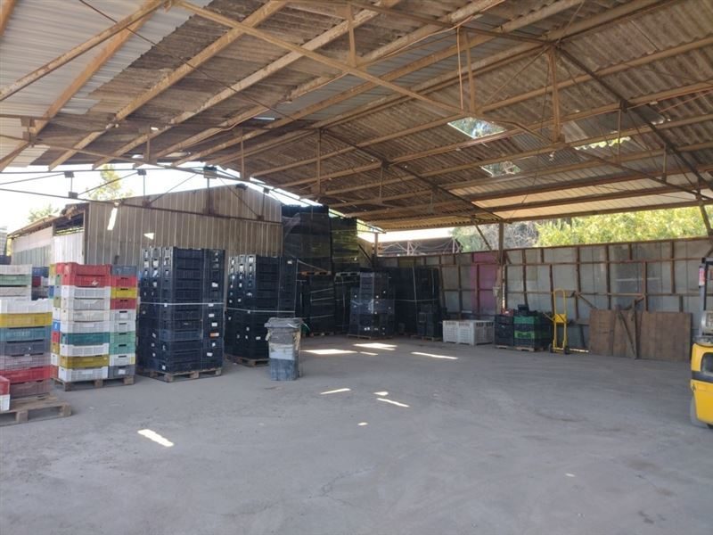Terreno en venta en San Bernardo — foto 7
