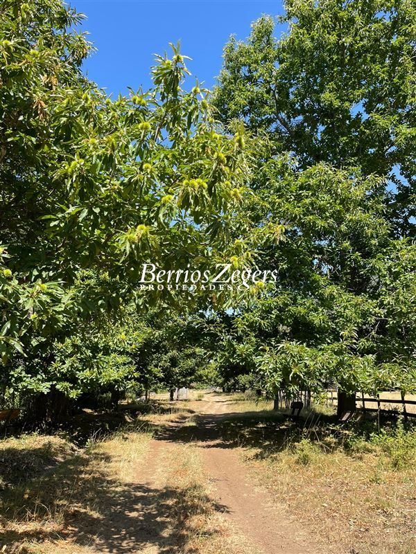 Parcela en venta en Parral — foto 8