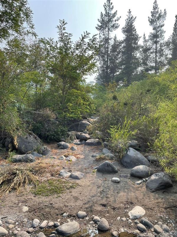 Parcela en venta en Longaví — foto 7