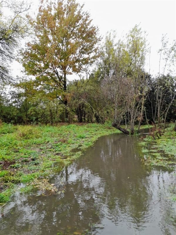Casa en venta en Ñiquén — foto 3