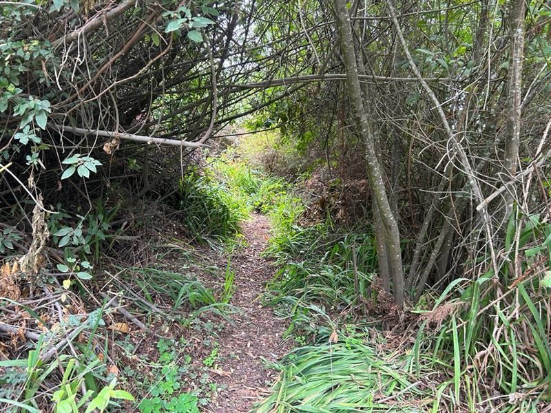 Terreno en venta en Frutillar — foto 2